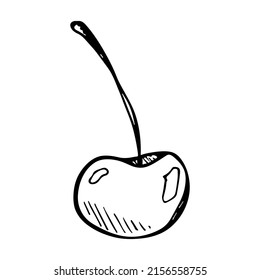 Vector cherry clipart. Hand drawn berry icon. Fruit illustration. For print, web, design, decor, logo.