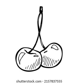 Vector cherry clipart. Hand drawn berry icon. Fruit illustration. For print, web, design, decor, logo.