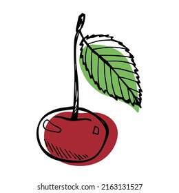 Vector cherry clipart. Hand drawn berry icon. Fruit illustration. For print, web, design, decor, logo.