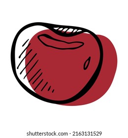 Vector cherry clipart. Hand drawn berry icon. Fruit illustration. For print, web, design, decor, logo.