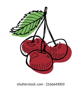 Vector cherry clipart. Hand drawn berry icon. Fruit illustration. For print, web, design, decor, logo.