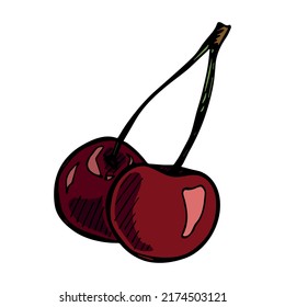 Vector cherry clipart. Hand drawn berry icon. Fruit illustration. For print, web, design, decor, logo.