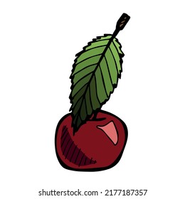 Vector cherry clipart. Hand drawn berry icon. Fruit illustration. For print, web, design, decor, logo.