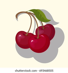 Vector Cherry Colorful Illustration Isolated on Light Background.