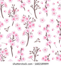 Vektorillustration Kirschblumen und Knospen nahtlose Muster. rosafarbene Blumen, Hintergrund