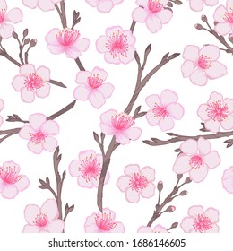 Flores de cerezo vectorial y brotes sin fisuras. Fondo de flores rosadas en flor