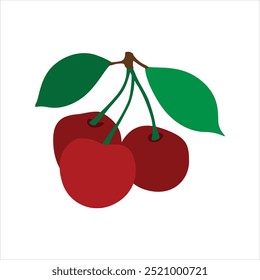 Vector Cherry Fruit Design on White Background