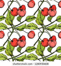 Frutos vectoriales de cerezo sobre fondo blanco. Hoja verde. Planta de hojas de vegetación botánica follaje floral. Arte de tinta con grabado rojo y verde. Patrón de fondo sin foco. Textura de impresión de papel tapiz de tela.