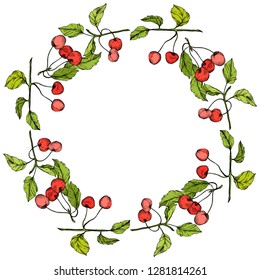 Vector Cherry fruits on white background. Green leaf. Leaf plant botanical garden floral foliage. Red and green engraved ink art. Frame border ornament square.