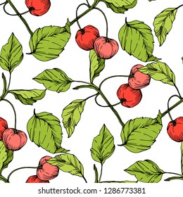 Vektorkrebse auf weißem Hintergrund. Grünes Blatt. Blattpflanze botanischer Garten Blumenblätterblättern. Rote und grüne, gravierte Tintenkunst. Nahtlose Hintergrundmuster. Tapete-Tapete-Druckstruktur.