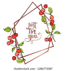 Vector Cherry fruits on white background. Green leaf. Leaf plant botanical garden floral foliage. Red and green engraved ink art. Frame border ornament square.