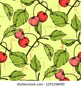 Frutos vectoriales de cerezo sobre fondo blanco. Hoja verde. Planta de hojas de vegetación botánica follaje floral. Arte de tinta con grabado rojo y verde. Patrón de fondo sin foco. Textura de impresión de papel tapiz de tela.