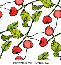 Frutos vectoriales de cerezo sobre fondo blanco. Hoja verde. Planta de hojas de vegetación botánica follaje floral. Arte de tinta con grabado rojo y verde. Patrón de fondo sin foco. Textura de impresión de papel tapiz de tela.
