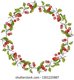 Vector Cherry fruits on white background. Green leaf. Leaf plant botanical garden floral foliage. Red and green engraved ink art. Frame border ornament square.