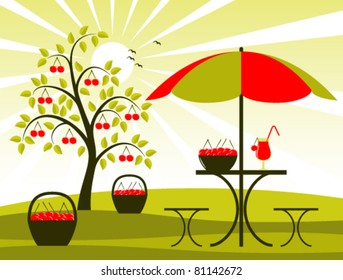 vector cherry harvest scene