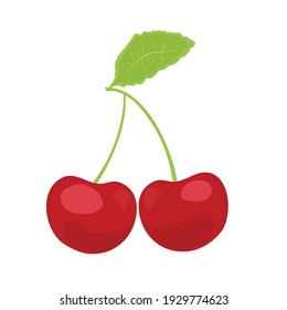 vector cherry have leaf beatiful colour on white background 