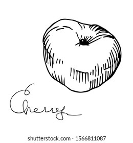 Vector Cherry healthy food. Black and white engraved ink art. Isolated berry illustration element on white background.