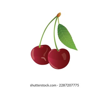 Vector cherry illustration. Isolated on a white background. Cartoon style icon. Vector illustration. Cherries photo realistic 3d icon. Pair of cherries, isolated vector illustration.