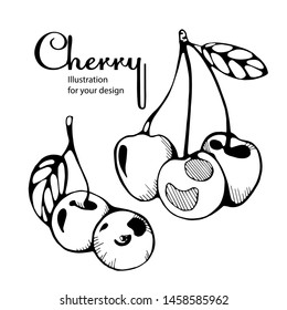 Vector cherry set, black and white graphics.