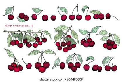 vector cherry set. Can be use for background, packaging, design, invitation, banner, cover. Vintage hand drawn illustrations