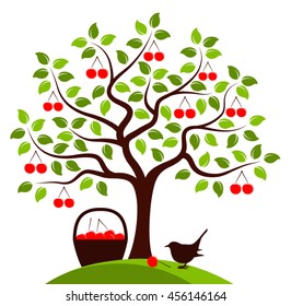 vector cherry tree, basket of cherries and bird isolated on white background