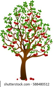 Vector - Cherry tree with berries and birds isolated on white background

