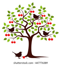 vector cherry tree and birds isolated on white background