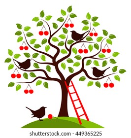 vector cherry tree with birds and ladder isolated on white background