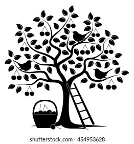 vector cherry tree with birds, ladder and basket of cherries isolated on white background