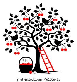 vector cherry tree with birds, ladder and basket of cherries isolated on white background