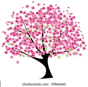 vector cherry tree in blossom