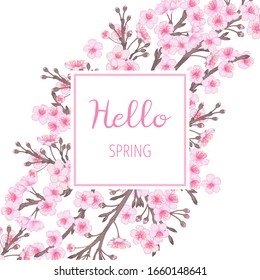 Vector cherry tree flower spring oriental background, pink tender template. Hand drawn illustration. Floral sakura frame