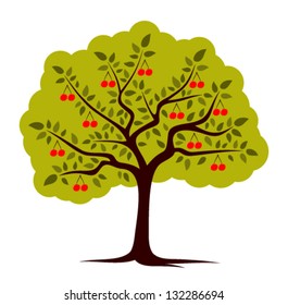 vector cherry tree isolated on white background