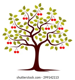 vector cherry tree isolated on white background