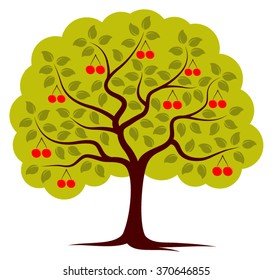 vector cherry tree isolated on white background