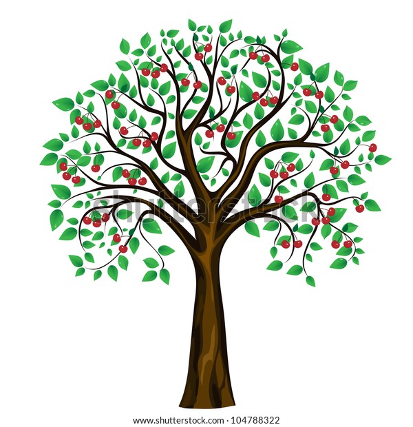 Vector Cherry Tree Isolated On White Stock Vector (Royalty Free) 104788322