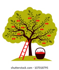 vector cherry tree, ladder and basket of cherries