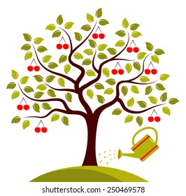 vector cherry tree and watering can isolated on white background