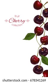 Vector cherry vertical banner on white background. Design for sweets and pastries filled with cherry, dessert menu, natural cosmetics, health care products. With place for text