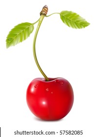 Vector. Cherry with water drops.