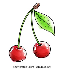 Vector cherry in watercolor style with black contour
