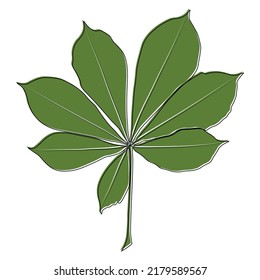 Vector chestnut leaf outline and coloured icon. Simple chestnut leaves illustration for logo. Realistic hand drawn leaves illustration set on white background.
