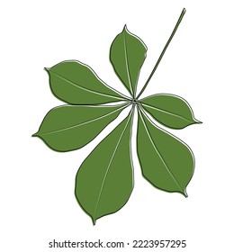 Vector chestnut leaf outline and coloured icon. Simple chestnut leaves illustration for logo. Realistic hand drawn leaves illustration set on white background.