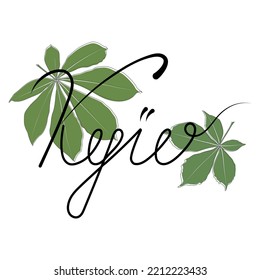 Vector chestnut leaves with hand drawn Kyiv lettering in skoropys style outline icon. Simple outline chestnut leaves illustration for logo. Realistic hand drawn leaves illustation on white background.
