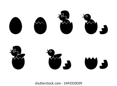 vector chick hatching from egg collection isolated on white background