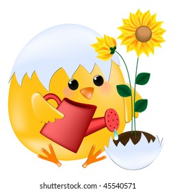 Vector chick watering sunflower