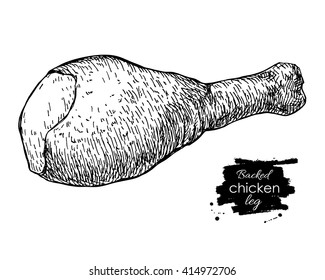 Vector Chicken backed chicken leg. Engraved food illustration. Poultry natural business product.