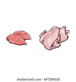vector chicken carcass ,liver set sketch illustration. Isolated illustration on a white background Raw cut poultry meat