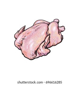 vector chicken carcass sketch illustration. Isolated illustration on a white background Raw poultry cutted meat
