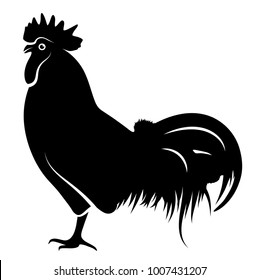 vector chicken cock isolated on white background